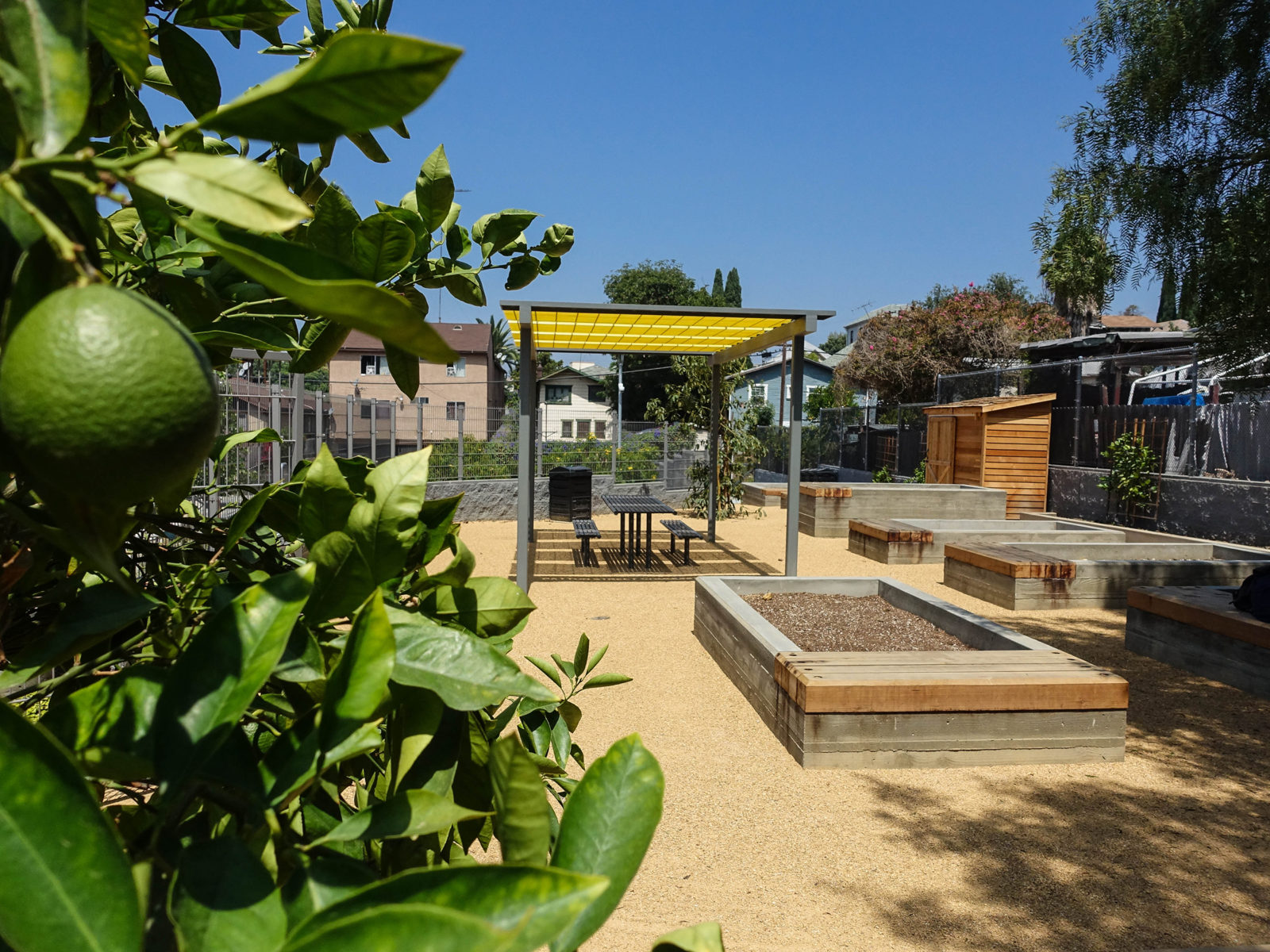 Patton Street Park and Community Garden in Los Angeles, CA (The Trust